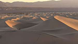 View from the Star Dune