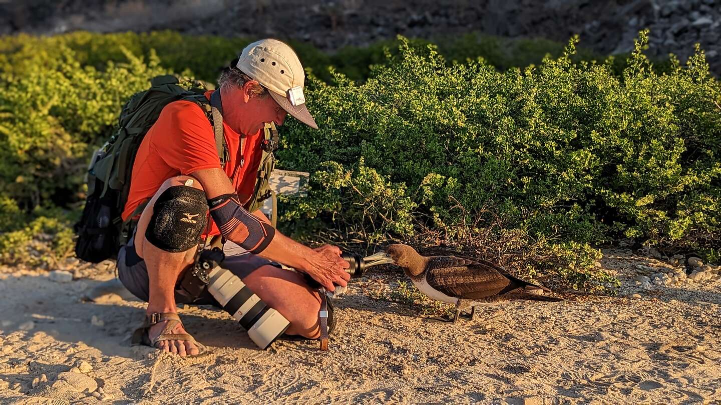Herb and a very curious Brown Noddy Herb and a very curious Brown Noddy