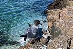 Lava gulls nesting on a cliff edge