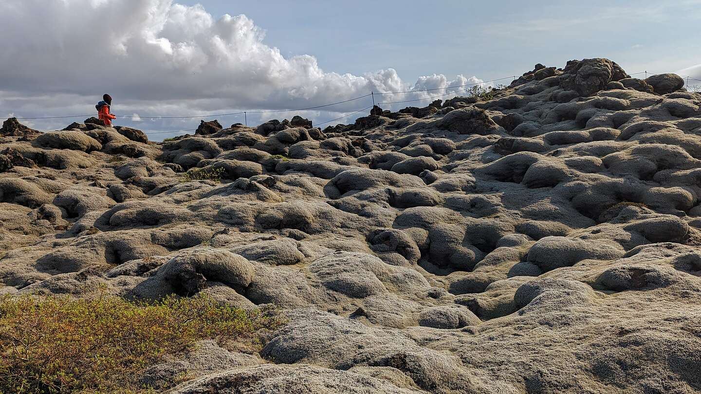 Eldhraun Lava Field Eldhraun Lava Field