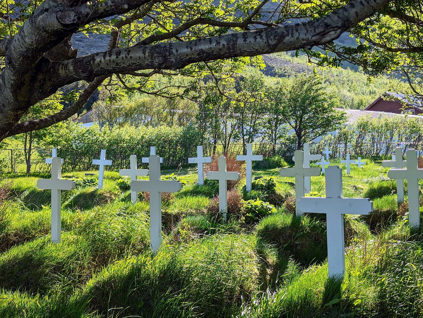 Hofskirkja cemetery