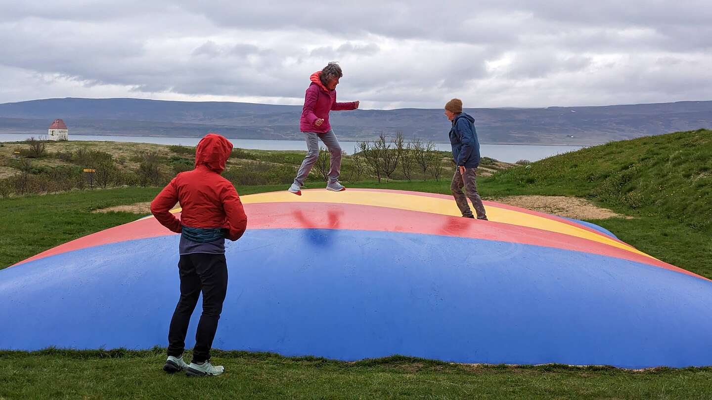 Trampoline Fun