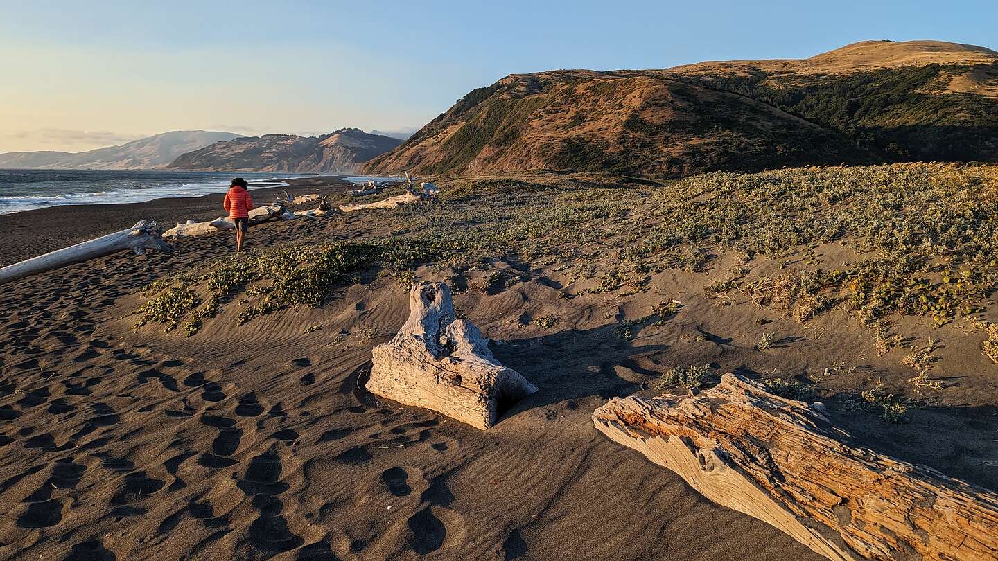 Beach Walk by Mattole Campground