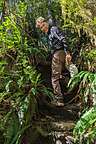 Herb fighting the jungle