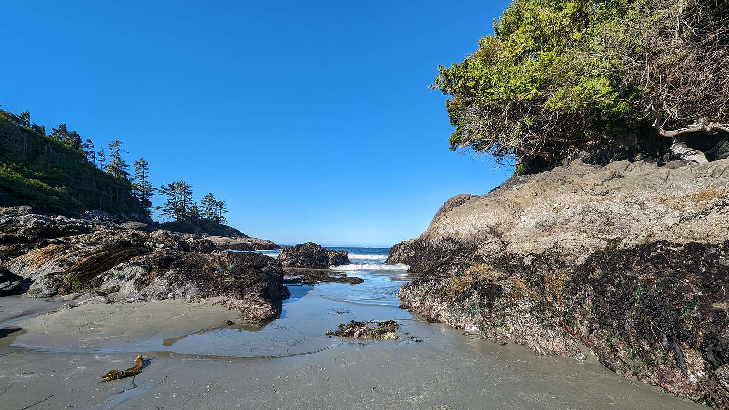 Morning farewell stroll on Mackenzie Beach Morning farewell stroll on Mackenzie Beach