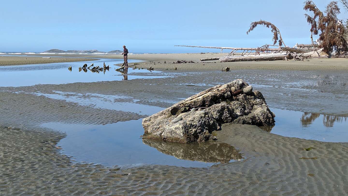 Combers Beach Combers Beach
