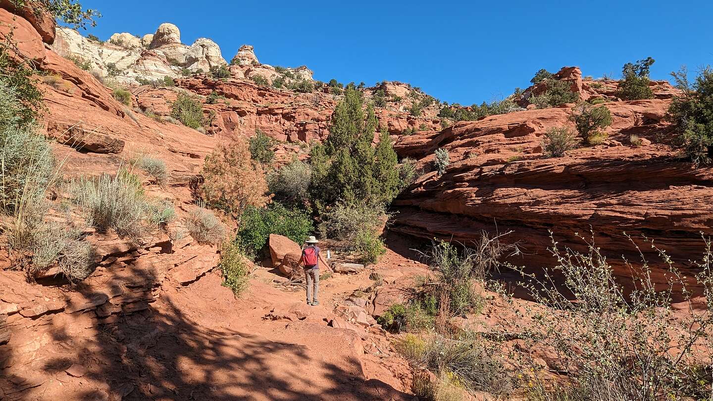 Heading out on the Lower Calf Creek Falls Trail Heading out on the Lower Calf Creek Falls Trail