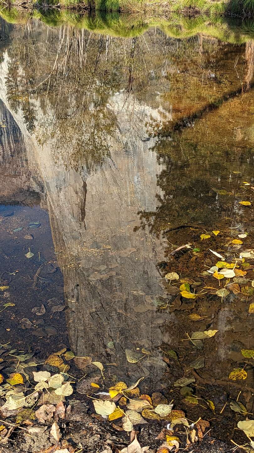 El Cap Reflections El Cap Reflections