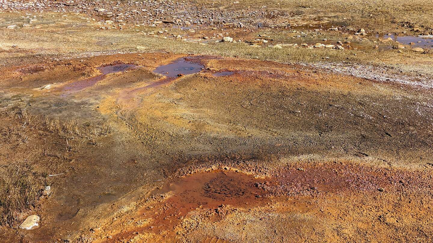 Mineral-crusted, rust-red puddles Mineral-crusted, rust-red puddles