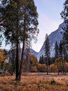 Evening walk to the Ahwahnee