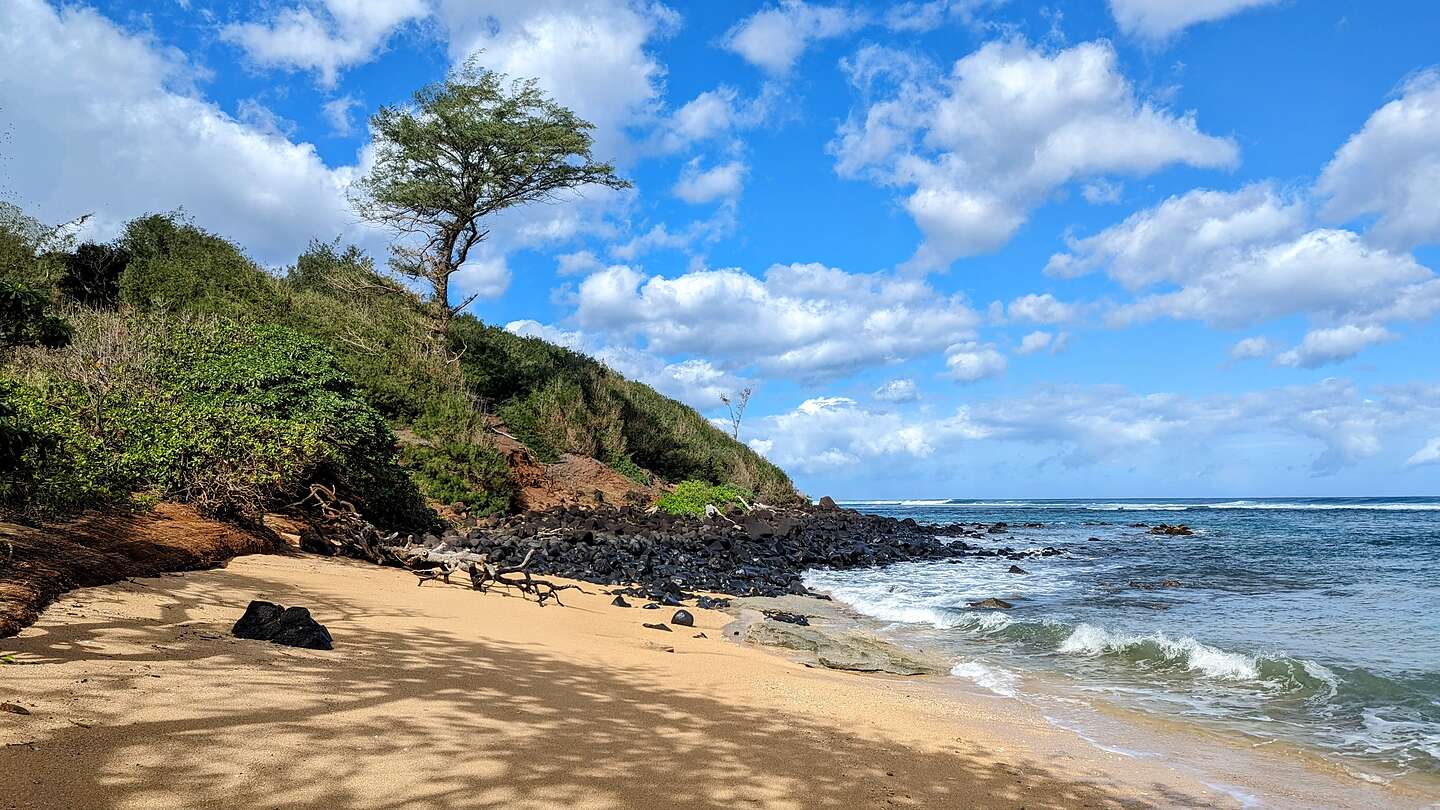 Larsen's Beach