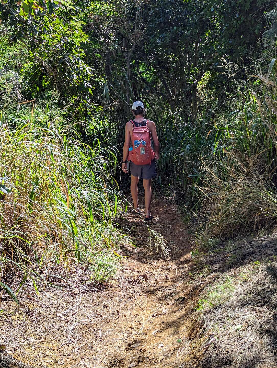 Trail to Larsen's Beach Trail to Larsen's Beach