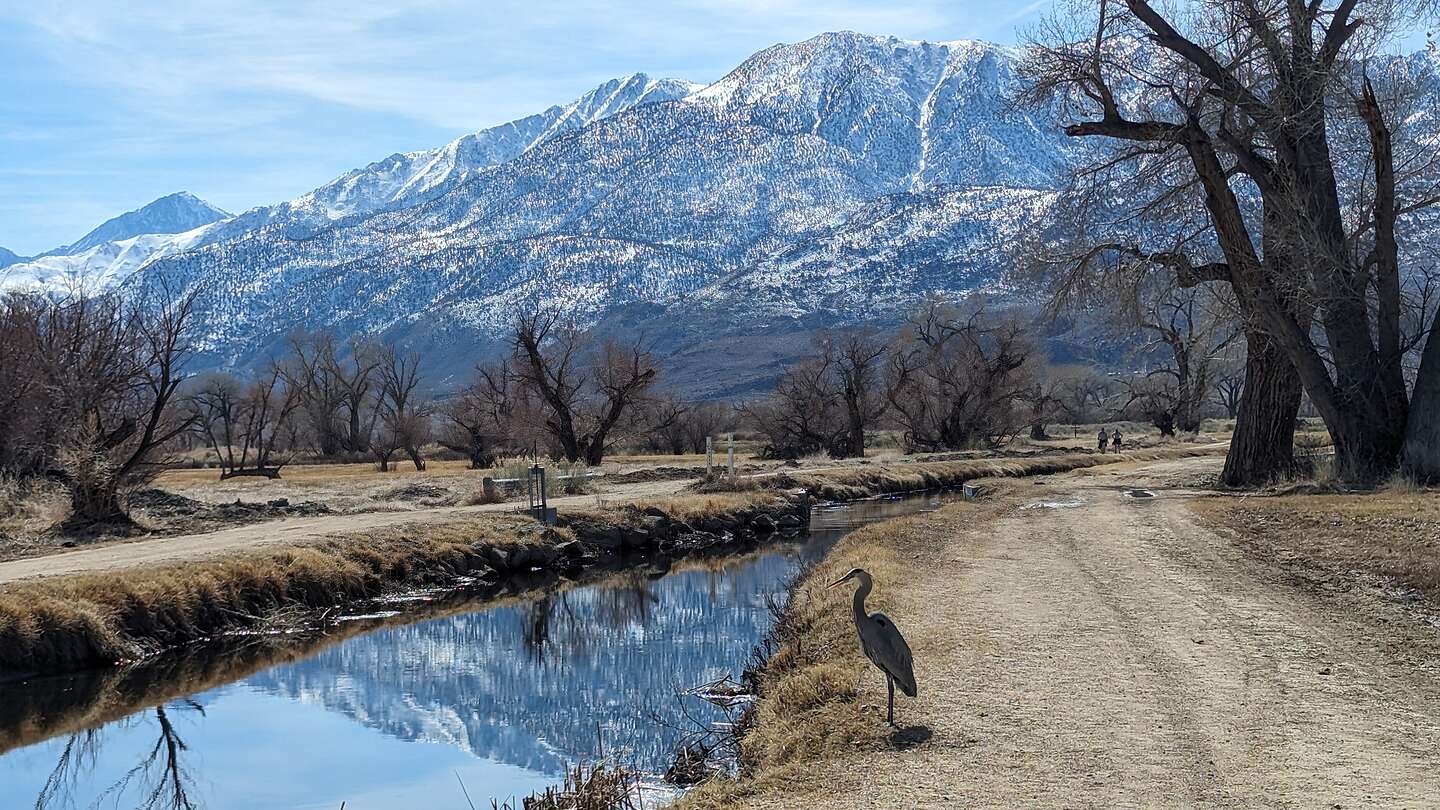 Along the Bishop Canal Along the Bishop Canal