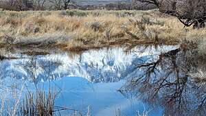 Stroll along the Bishop Canal