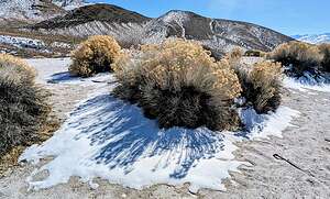 Some snow and sand