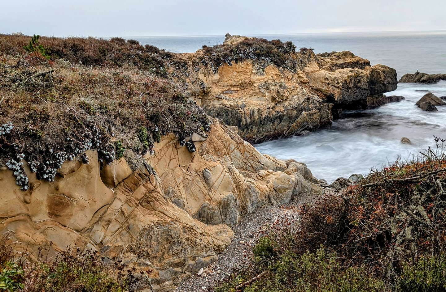 Point Lobos Point Lobos