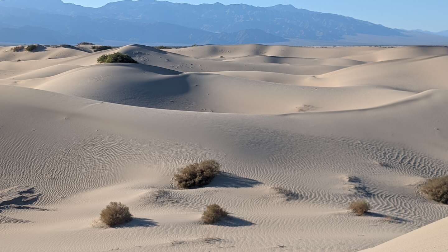 Mesquite Sand Dunes Mesquite Sand Dunes