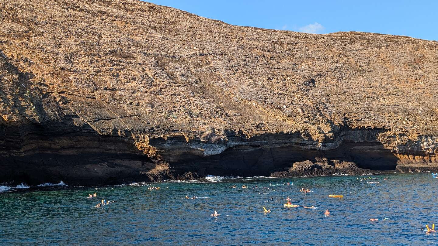 Snorkelers by Malokini Crater Snorkelers by Malokini Crater