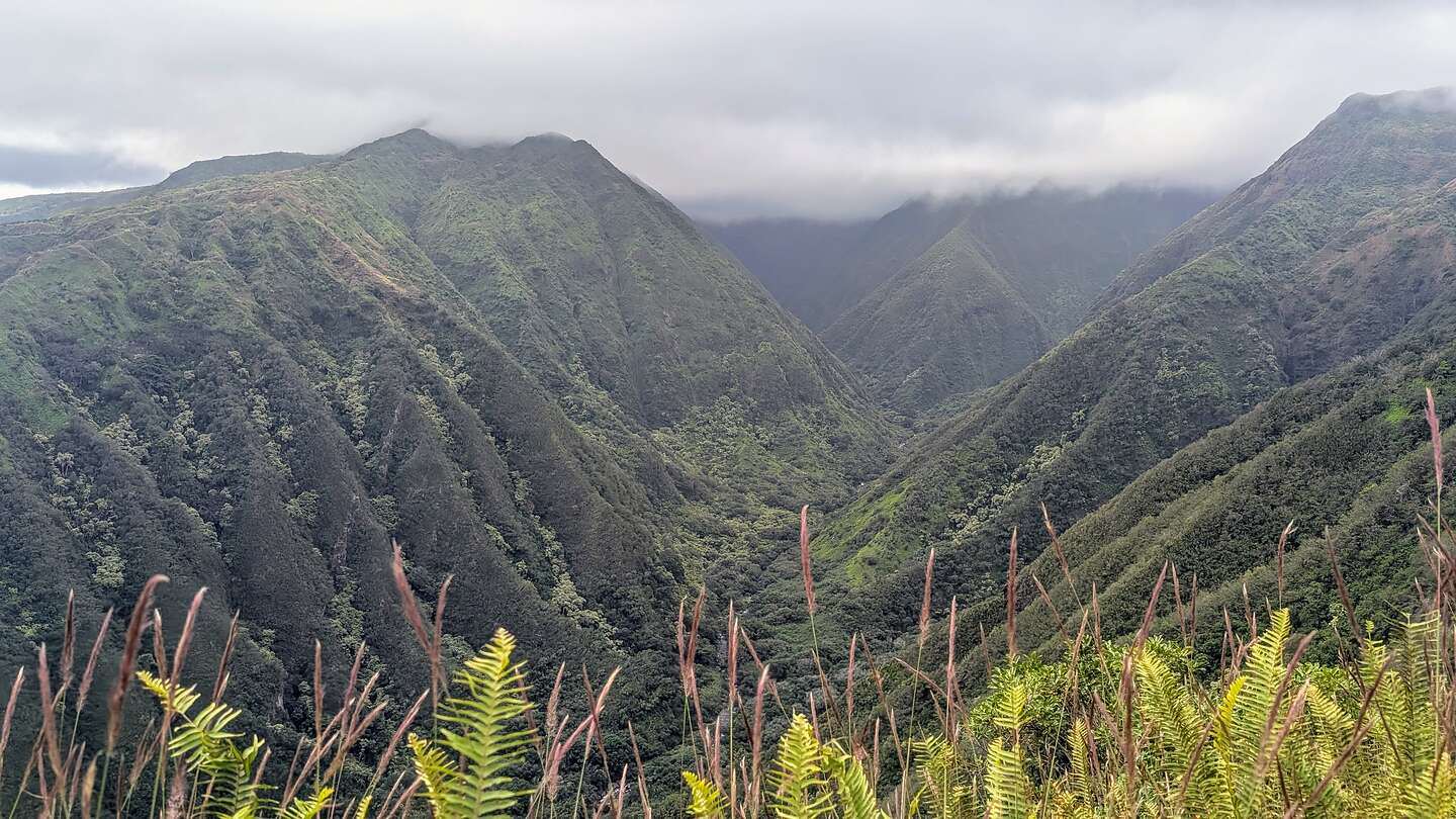 Waihee Canyon Waihee Canyon