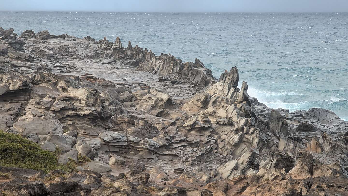 Dragon's Teeth Dragon's Teeth