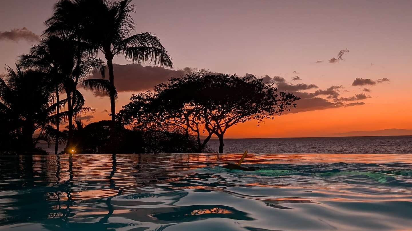 Sunset swim Sunset swim