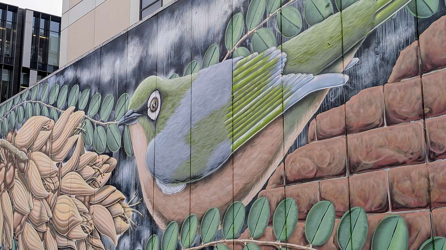 Christchurch Street Art Christchurch Street Art