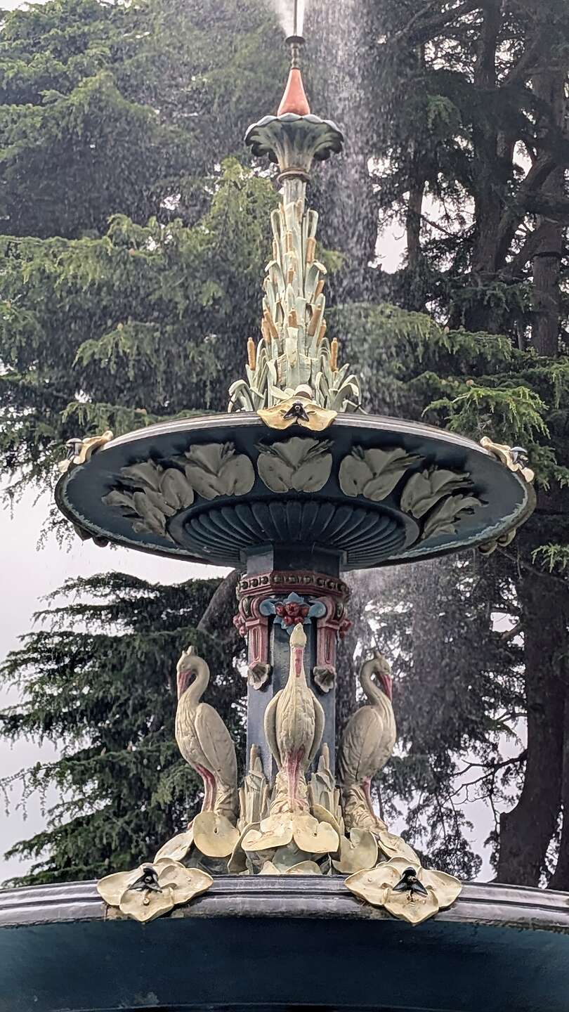 Peacock Fountain Peacock Fountain