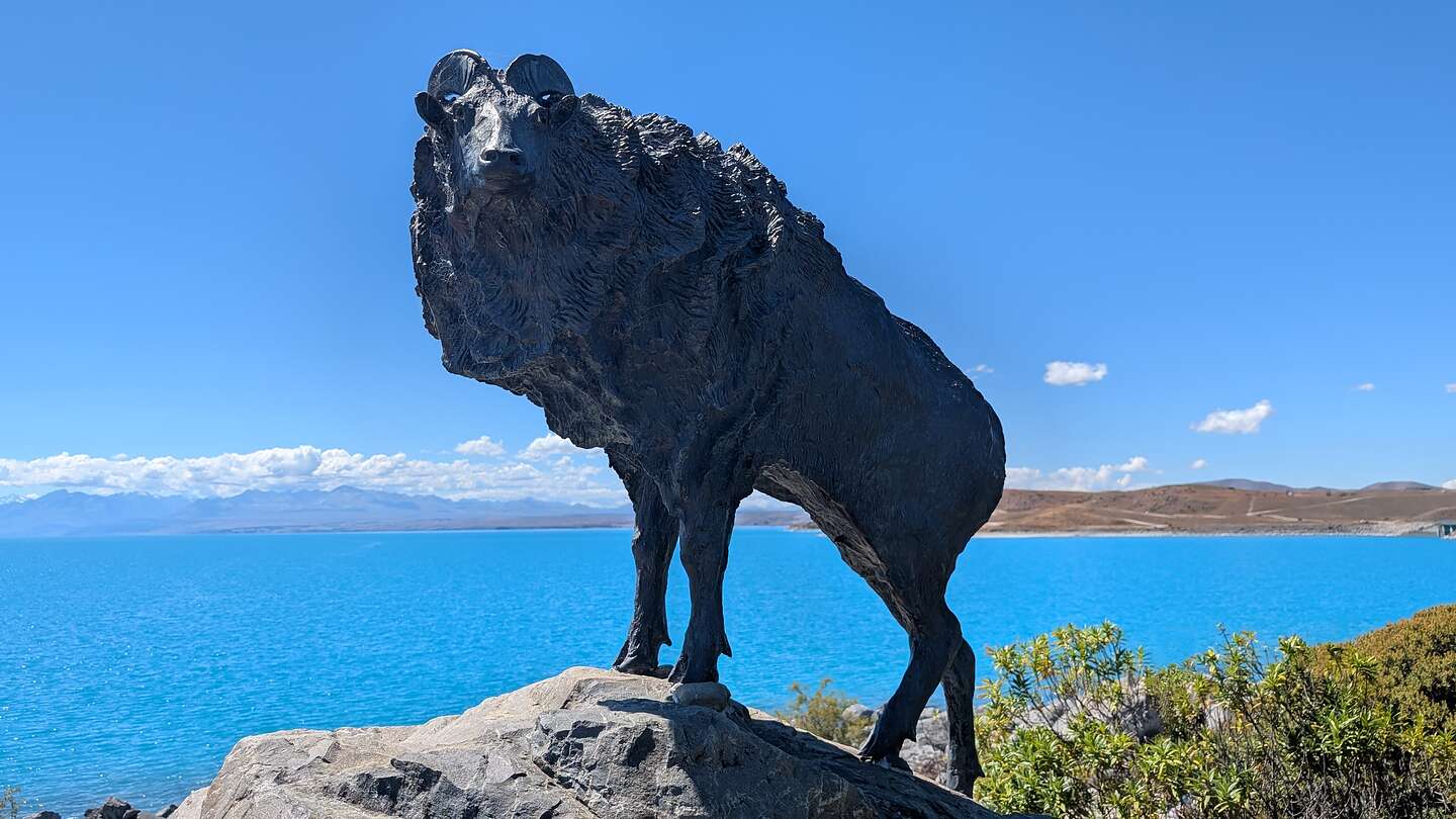 The Tahr The Tahr