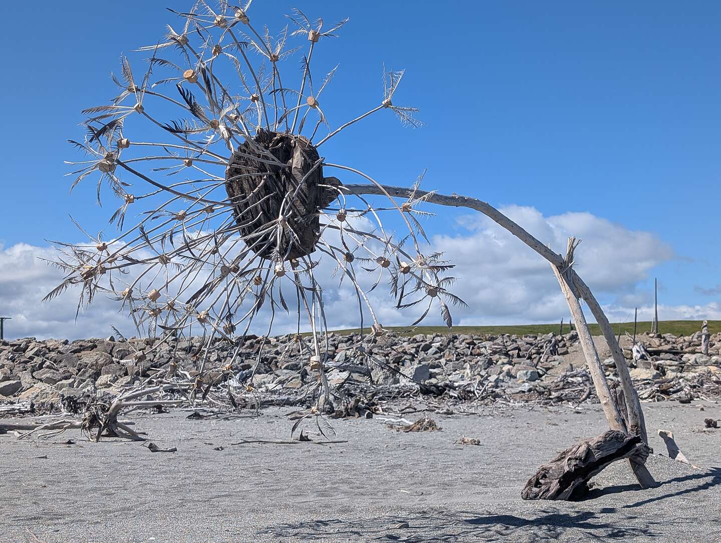 Hokitika Driftwood Art Hokitika Driftwood Art