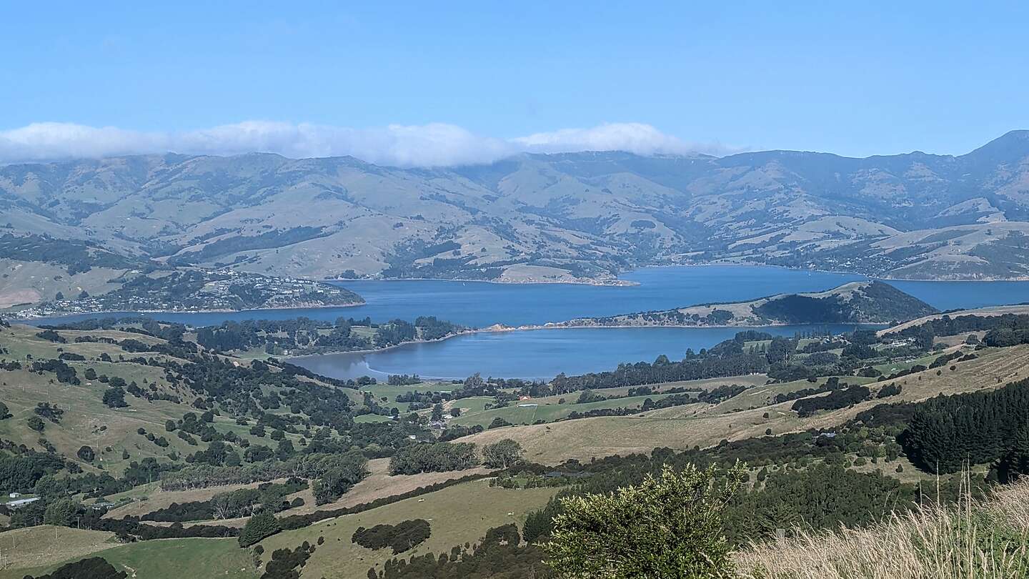 Along the drive to Akaroa Along the drive to Akaroa