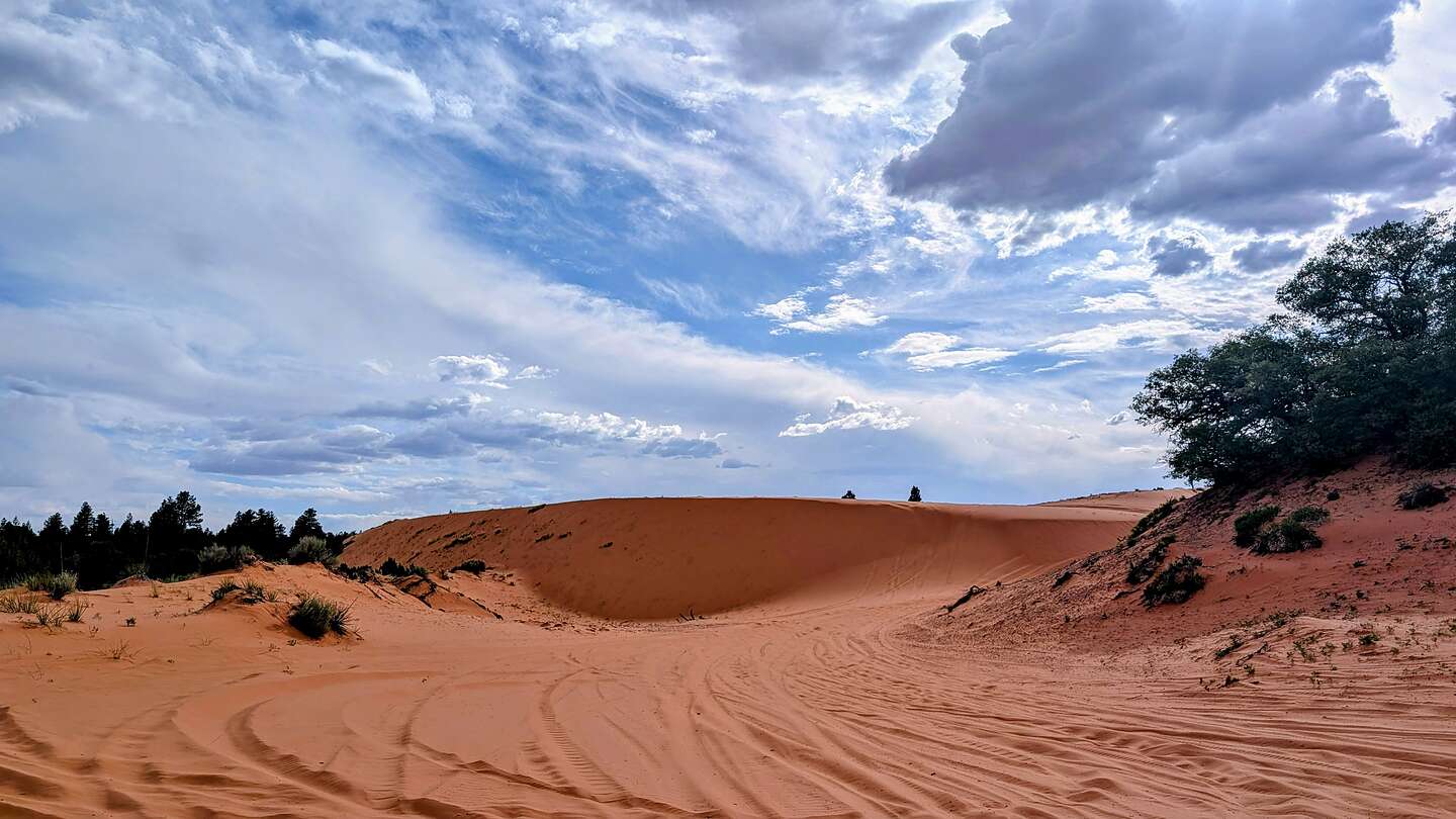 Coral Pink Sand Dunes Coral Pink Sand Dunes