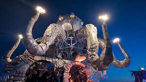 El Pulpo Magnifico  is very excited El Pulpo Magnifico  is very excited