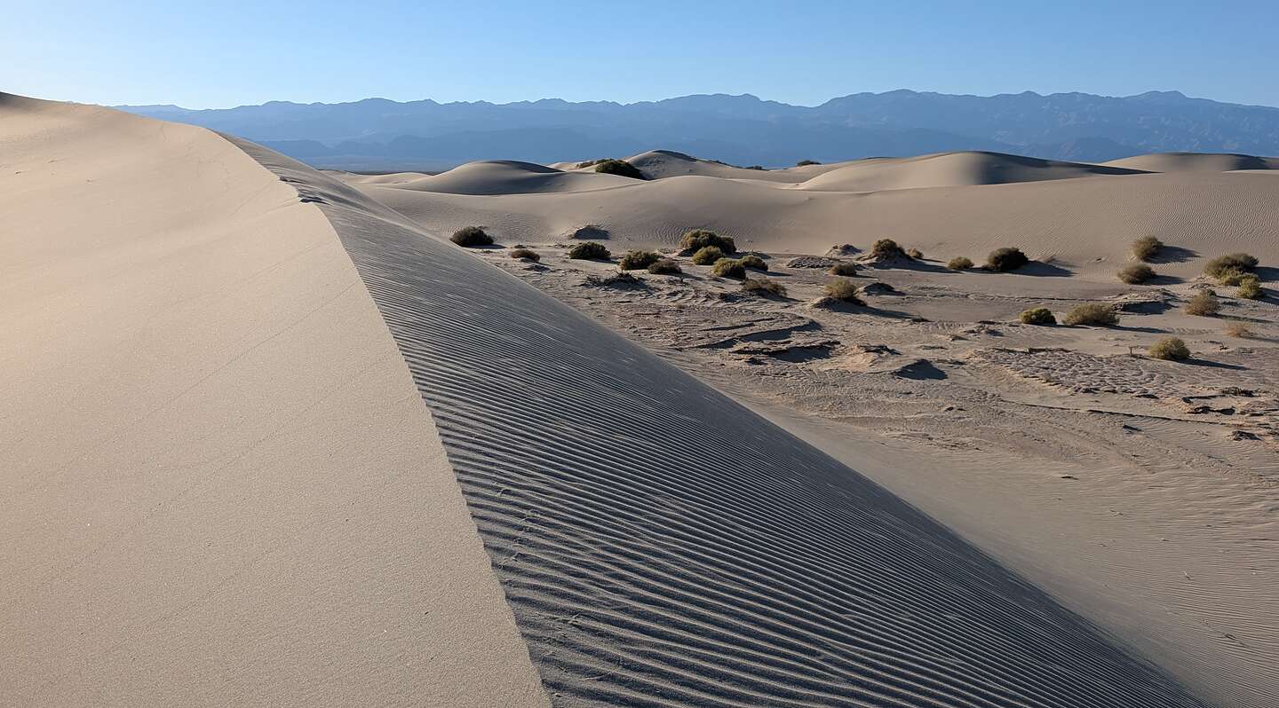 Mesquite Dunes Mesquite Dunes