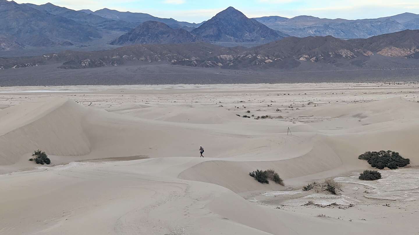 Mesquite Dunes Mesquite Dunes