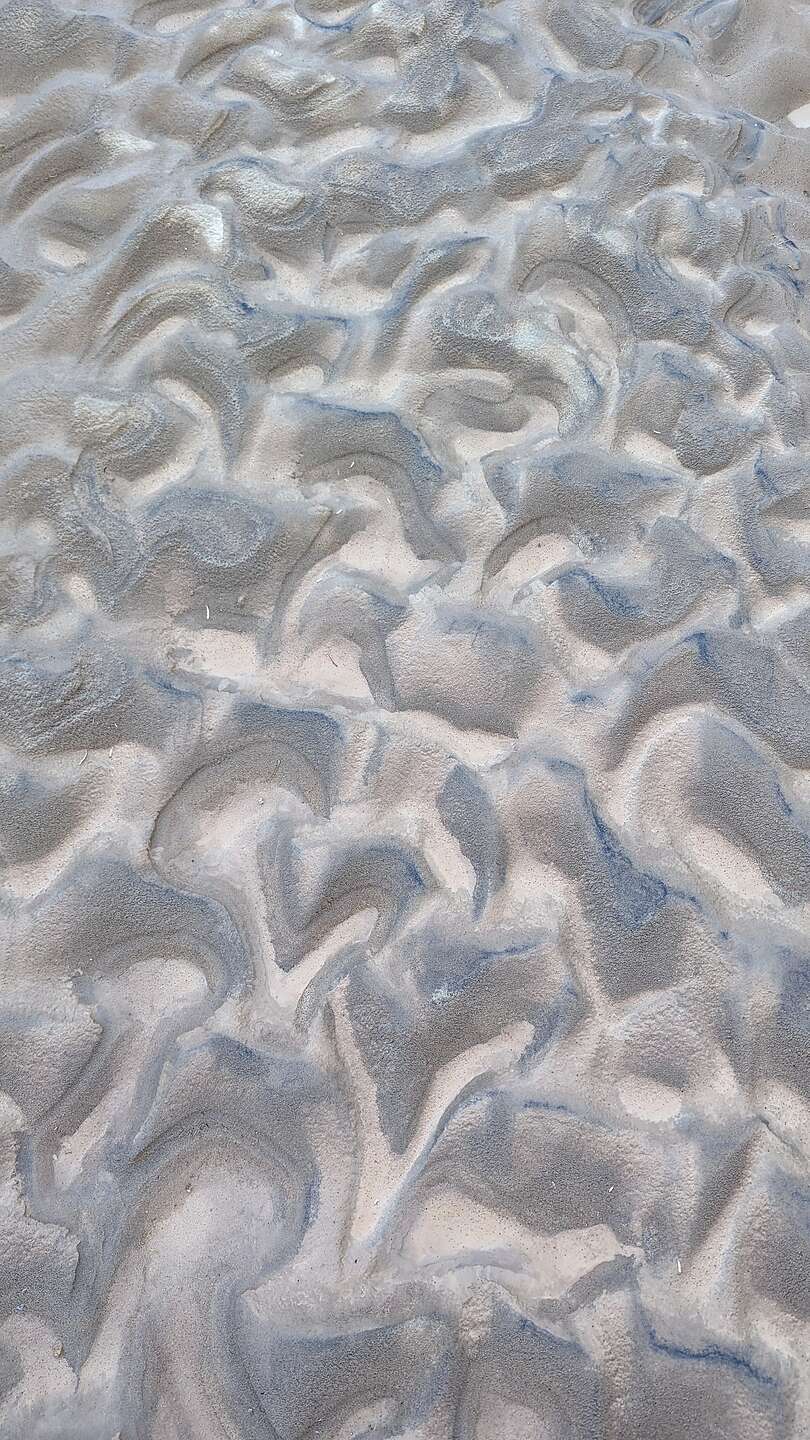 Patterns in the sand