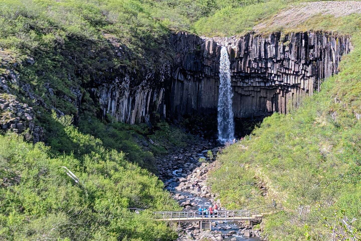 Heart-shaped Svartifoss