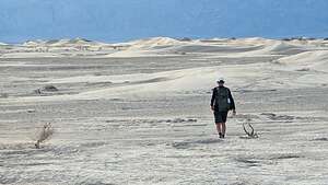 Dune Ho!
