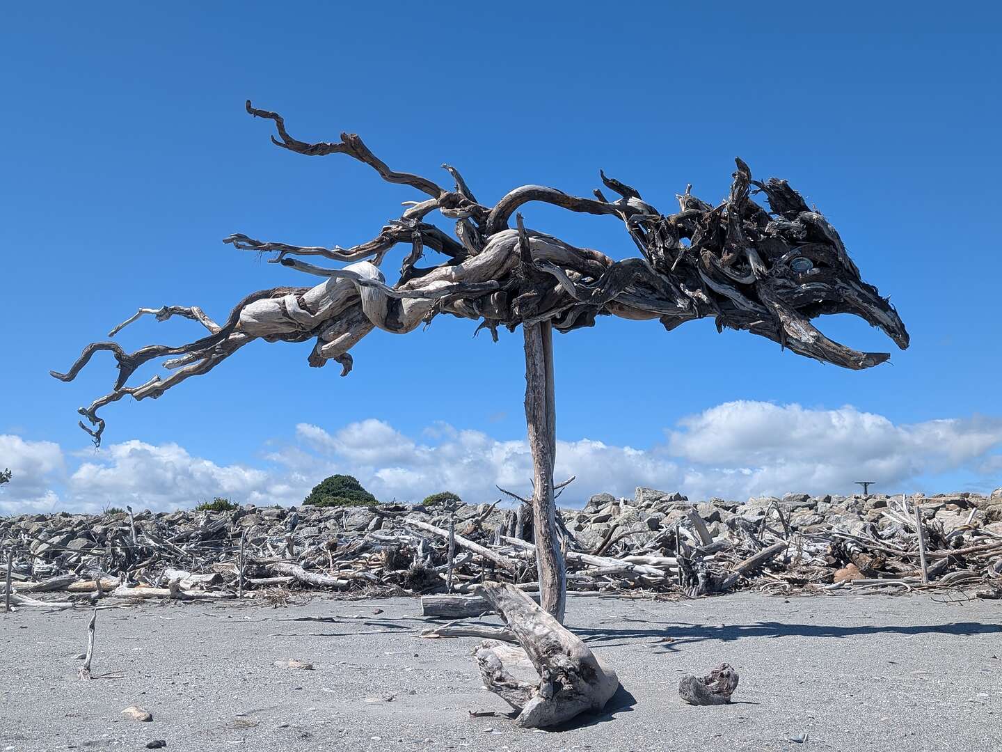 Hokitika Driftwood Art Hokitika Driftwood Art